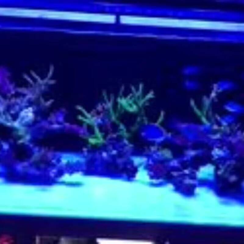 Набор фильтров 6-в-1: 37 мм, 5 – обзор и цена Photography Mobile Lighting